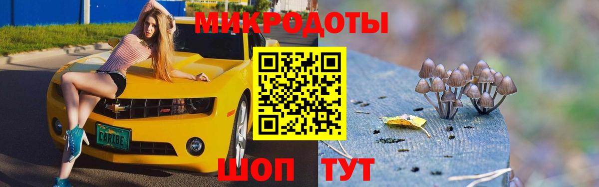 Кимры  Псилоцибиновые грибы Cubensis  Вход с VPN 